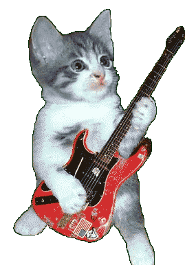 cat